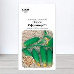 Семена огурца Ефрейтор F1, 100 семян